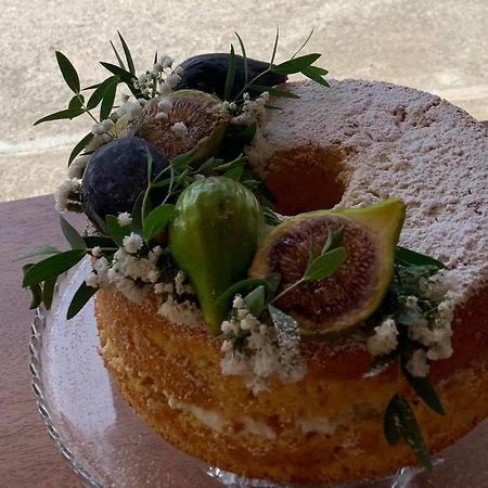 La Collina Bed and Breakfast Santa Maria Del Cedro Εξωτερικό φωτογραφία