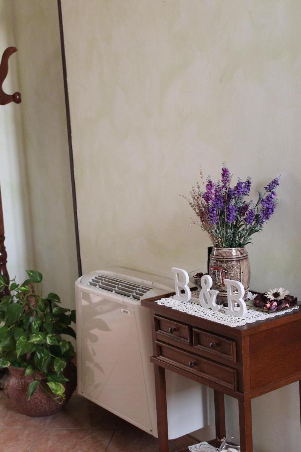 La Collina Bed and Breakfast Santa Maria Del Cedro Εξωτερικό φωτογραφία