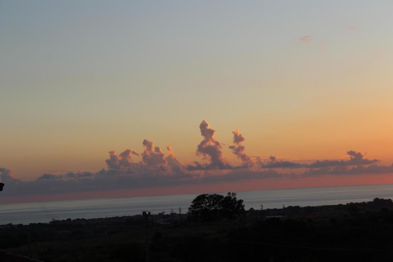 La Collina Bed and Breakfast Santa Maria Del Cedro Εξωτερικό φωτογραφία