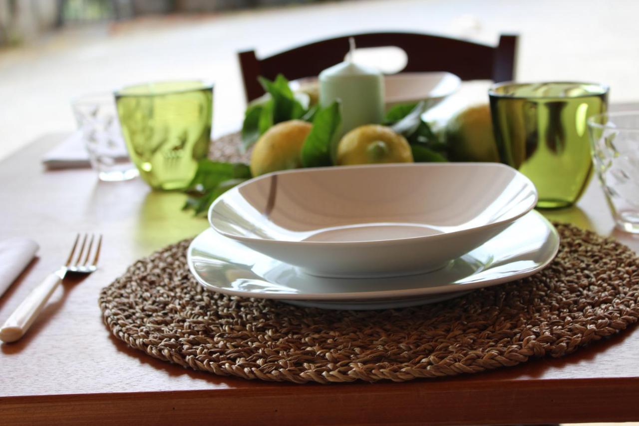 La Collina Bed and Breakfast Santa Maria Del Cedro Εξωτερικό φωτογραφία